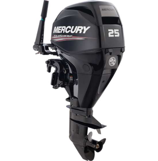 FourStroke 25 EFI